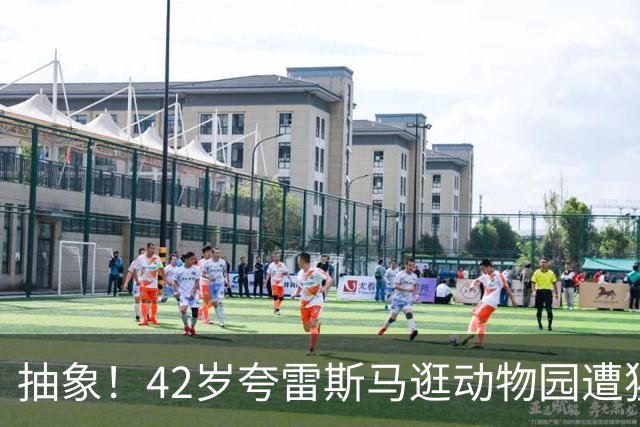 抽象！42岁夸雷斯马逛动物园遭猩猩"非礼"，抚摸他腹肌还戳肚脐眼